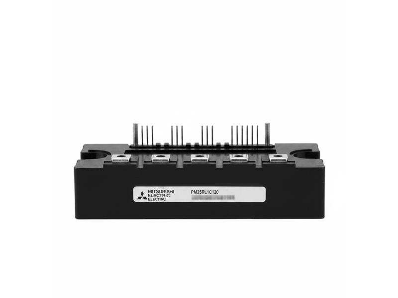 PM25RL1C120