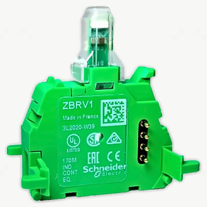 ZBRV1