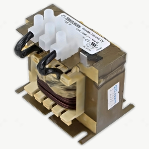 CHK-C1