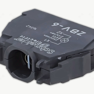ZBV6