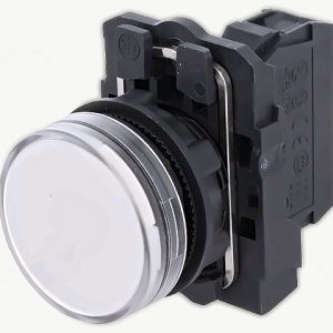 XB5AVM1